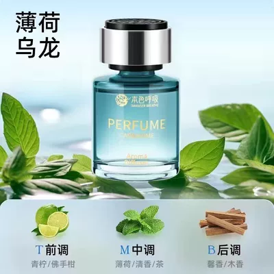 Odor Removal Pregnant Women – Car Perfume Aromatherapy - mint-oolong