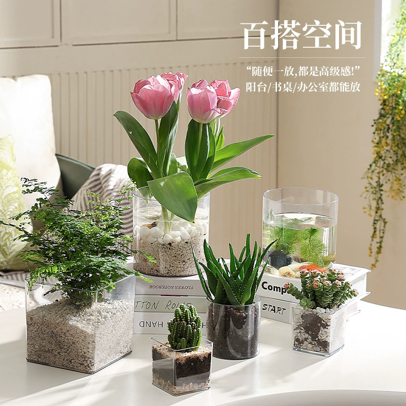 Transparent Square Hydroponic Vase, Desktop Shatterproof Planter, Multiple Sizes (8–30 cm)