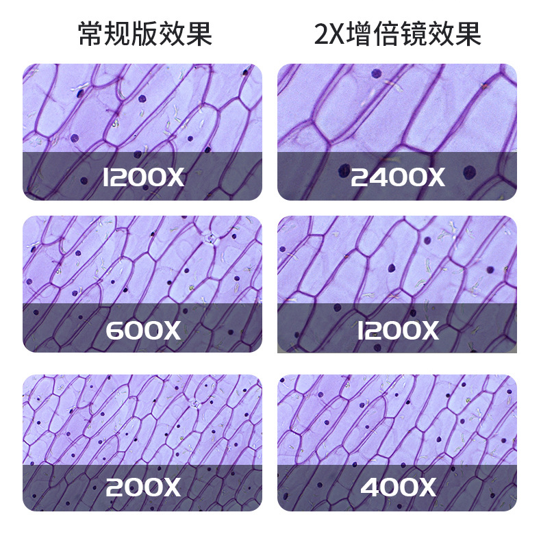 1566+镜头_02