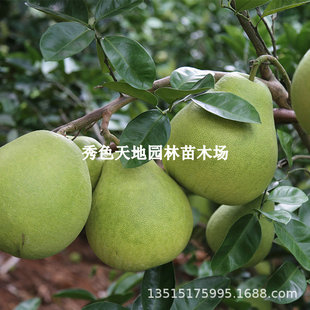 ���������ϱ���ͥԺ�������Ә������̨���Լ޽ӹ����箔��Y��