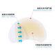 New Unisex Protective Random Stickers High-heeled Shoes Foot Wear Stickers Heel Stickers Aseptic Anti-wear Foot Blisters Stickers