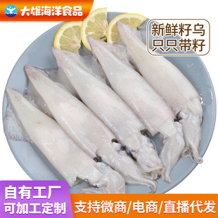 �S�����l���������ȫ���ў����r�����~���r�P���~�����Ã����\�~