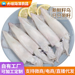 厂家批发冷冻纯海洋全籽籽乌冻鲜乌籽鱼冻鲜笔管鱼冻海兔冻乌贼鱼