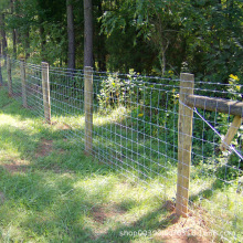 �i�o��ţ�ھW�BֳȦ��䓽z���ڭh����Ȧ�B���o�W�B¹���W