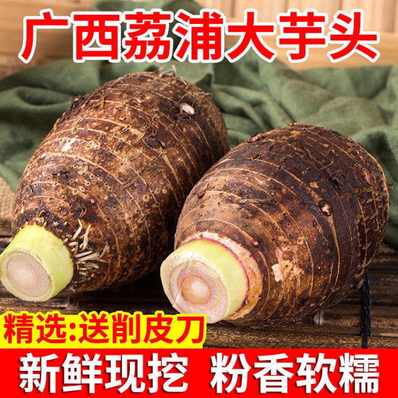 Li Riverside Taro fresh Season Taro fresh Guangxi Areca Wisteria Taro 1 /3 Jin /5 Jin /9 Jin