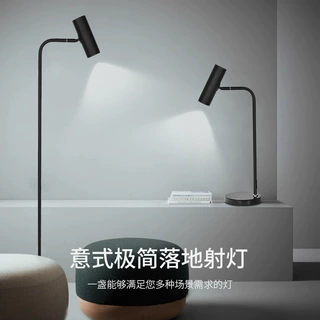 落地灯客厅射灯北欧网红现代简约氛围灯卧室轻奢书房氛围立式台灯