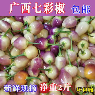 ���r�߲ʽ��V���خa���\�A���ݽ��Fժ�߲���ɫ�������]�r����ʽ�