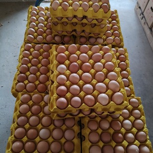 �r���r���x�����u�����Bֳ��ֱ�����Փ��հl��ȫ����