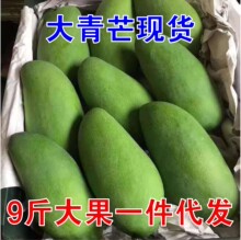 大青芒新鲜水果9斤热带应季芒果薄皮薄核超甜金煌芒整箱产地直发