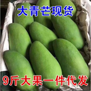 ����â���rˮ��9��Ꭷ����â����Ƥ���˳�����â����a��ֱ�l