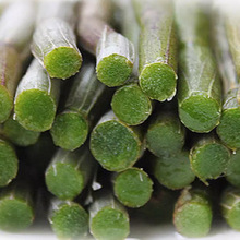 新鲜铁皮石斛鲜条500g乐清雁荡山四年生枫斗石斛浙江安徽