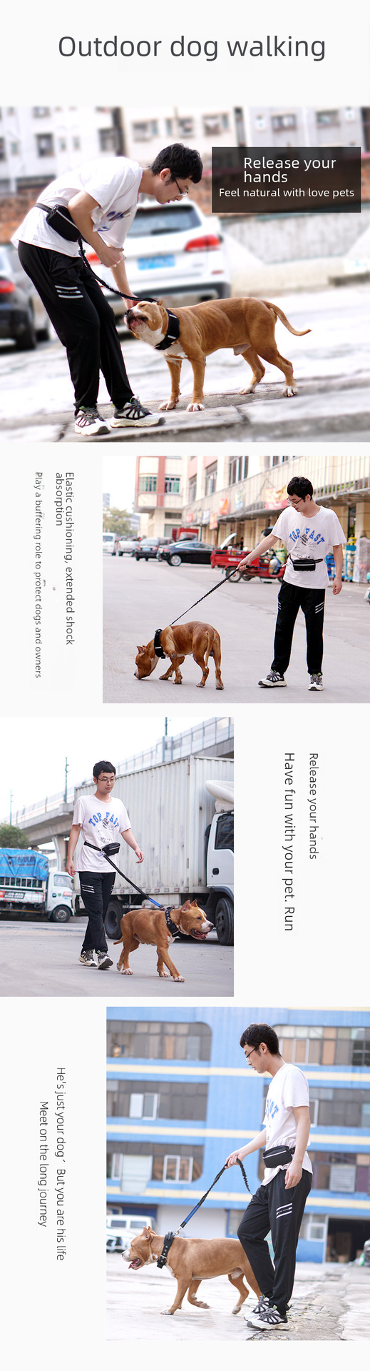 Pet Leash Image 16