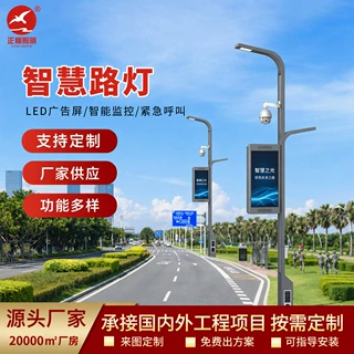 户外市政道路高低臂智慧路灯厂区园林小区双臂多功能路灯杆定制