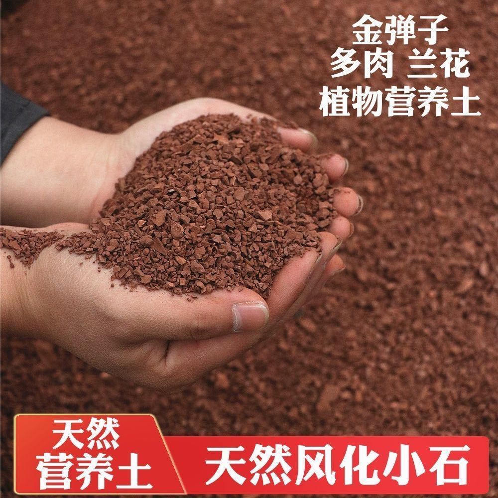 四川天然风化石颗粒多肉金弹子兰花透气生根渗水酸性营养土
