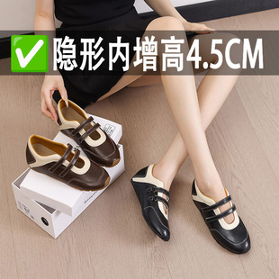 �[�΃�����2026�ļ��¿ʽײɫ�͹����e����������Lħ�g�NŮЬ