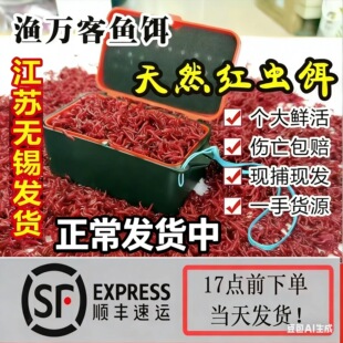 �t�x���D�t�x��~�r��ڿ����DС�x�����wҰ��ش��x�a�~�D��