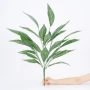 植物景观庭院仿真绿植