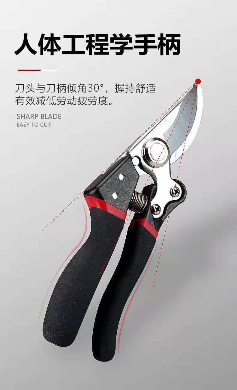 ΢��ͼƬ_202109082128485