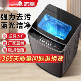 志高10/12全自动洗衣机家用小型大容量波轮租房宿舍用洗烘一体