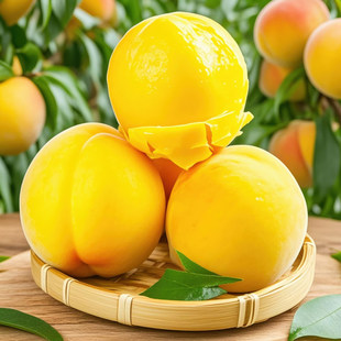 �����S��4.5�����r�Fժˮ�������S�����S������