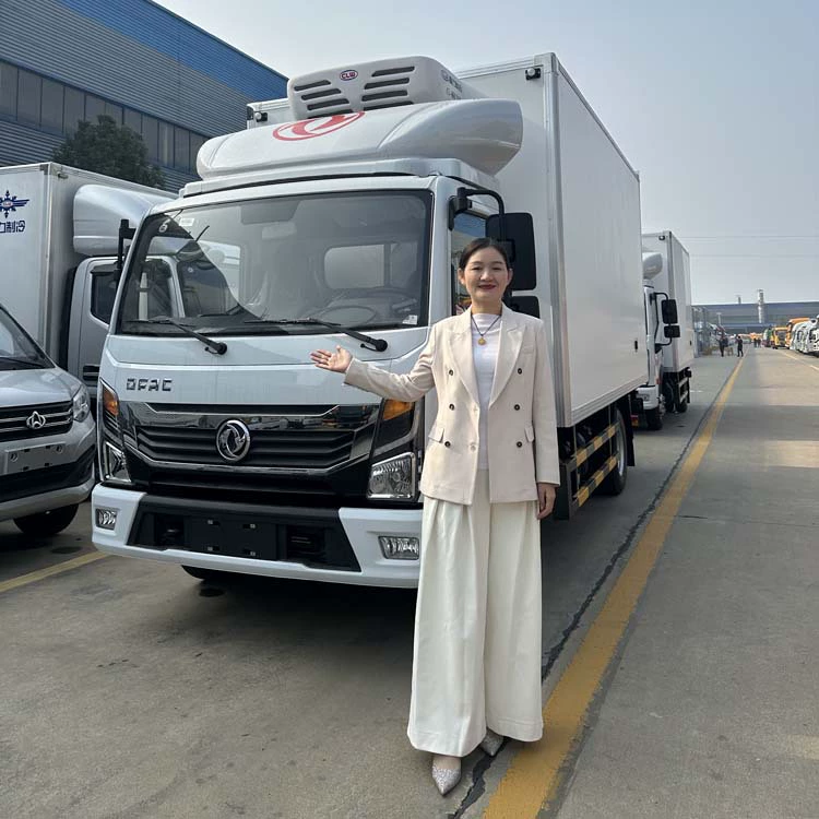 Рефрижератор Dongfeng Furika 2.8 м, рефрижераторный фургон для вакцинации от бешенства, предложение от производителя