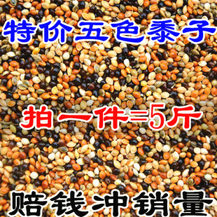 ��Ƥĵ�����P��С���W�^�Bʳ�����ɫ�����W�^��ϼZ���Ӱ��]5��