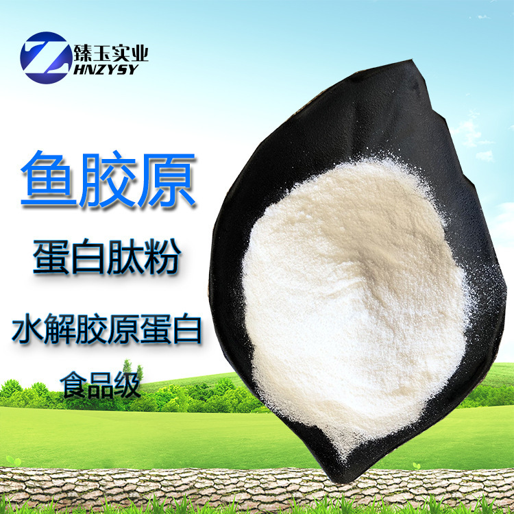 Supply of Water-Soluble Collagen, Small Molecule Fish Collagen Peptide Powder, Food-Grade Fish Collagen Powder Supply of Water-Soluble Collagen, Small Molecule Fish Collagen Peptide Powder, Food-Grade Fish Collagen Powder