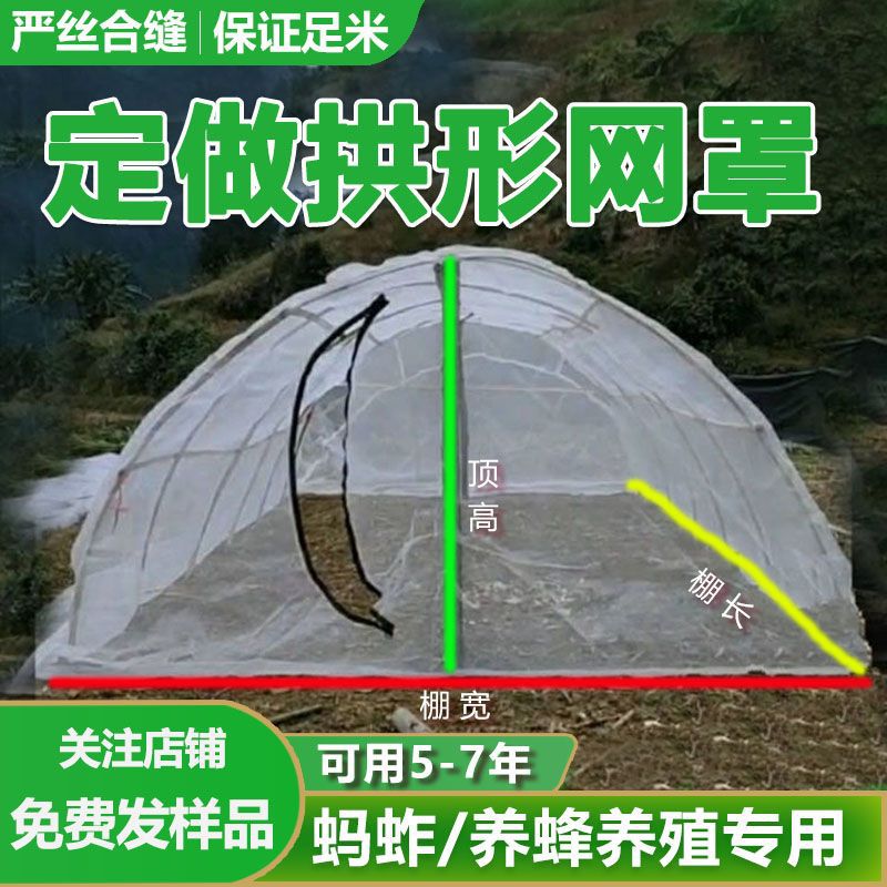 蚂蚱拱形网罩蝗虫带肩高拱形网罩胡蜂方形网罩拱形罩蚂蚱网罩纱网