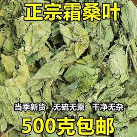 干桑叶材新货冬桑叶霜桑叶粉材药用泡水喝茶