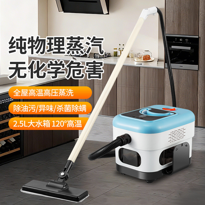 Cross-Border New High-Temperature Steam Cleaning Machine, Household Disinfection Steam Machine, Portable Large-Capacity Steam Cleaning Machine