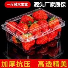 一次性水果包装盒透明塑料盒子1斤装草莓打包盒长方形带盖500克