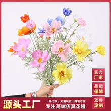 �ٻ����滨��˹��ֲë�廨 ��c�û��ҾӔ[���b��滨��������