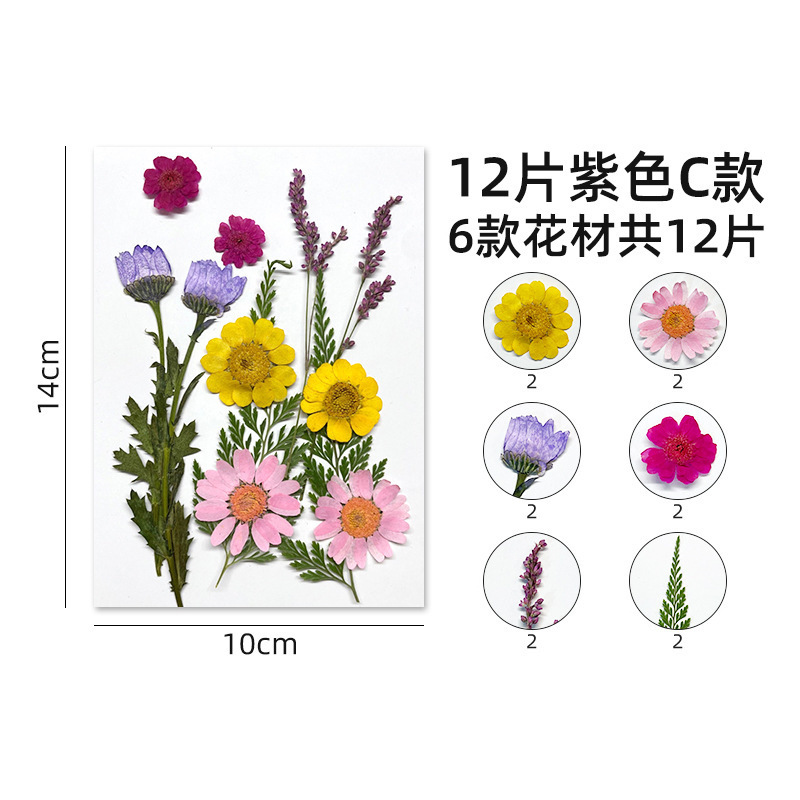ins森系抹茶绿复古手账本东巴手工纸植物diy送朋友礼物小众纪念品|undefined