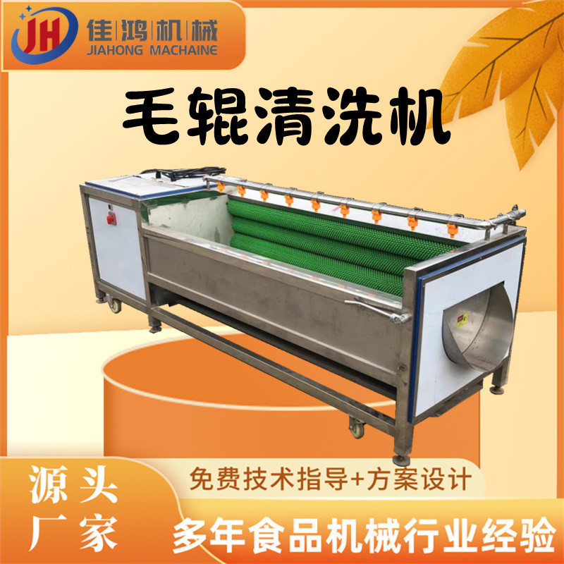 全自动毛辊清洗机 萝卜去泥清洗机 红薯清洗机 罗汉果清洗机佳鸿