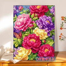 ĵ������DIY�����ͻ��ֻ���ɫ��ɫĵ����ϩ����ѹ����װ�ιһ�