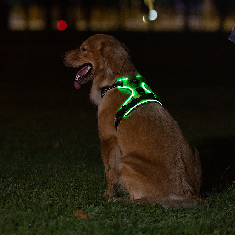 Pet luminoso chaleco LED parpadeo para perros fuera correa de tracción anti-explosión carga USB correa luminosa