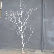 干樹枝干枝干樹枯樹裝飾白色樹擺件樹桿仿真樹枝假樹枝道具裝飾樹
