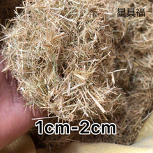 �ɵ����w�Sˮ���ն��Ž��B�۠��b��鵾�ݾG�������ൾ������