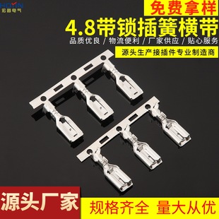 4.8���i��əM�� 187���iĸ���Ӿ����B�m���� 4K/��