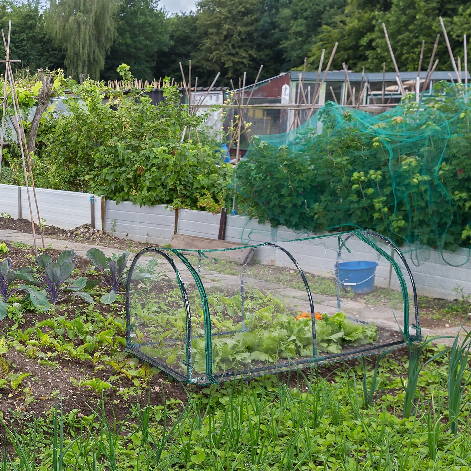 Serre de jardin avec fermeture éclair pour plantes et semis_voghion.com