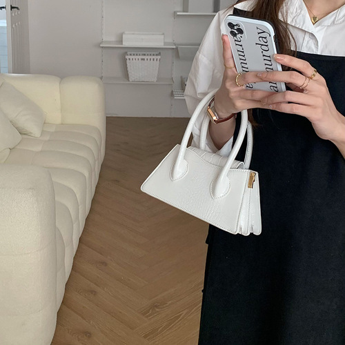 Niche bags for women 2024 new Korean style trendy ins simple fashion versatile portable small square bag single shoulder crossbody bag