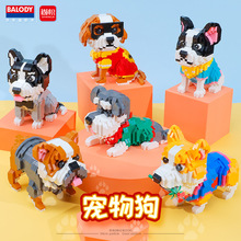 �羳���ֵ�18391-18396���ﹷϵ�й�ʿ��»�Ȯ����ƴװ��ľ���