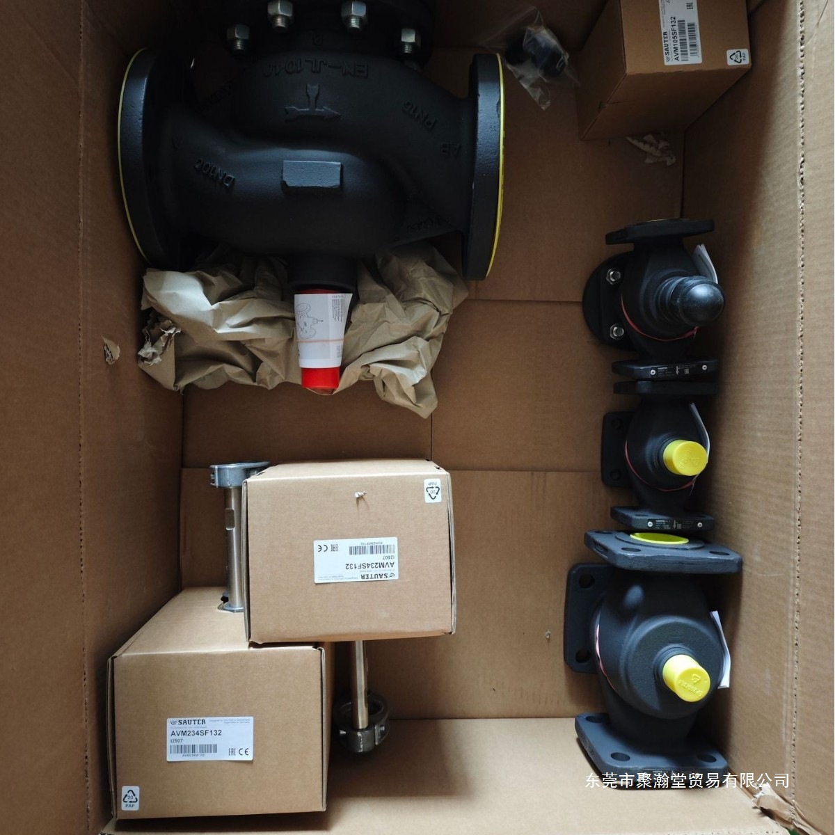 瑞士原装进口sauter-controls VQE100F300, 2-Way Flanged Valve