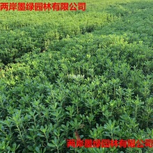 eͥԺGֲͩ@ֹ̲~Gͺ]