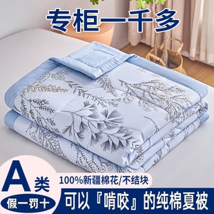 Class a 100% Cotton Double Quilt Summer Air-Conditioned Machine Washable Student Dormitory Cotton Summer Quilt