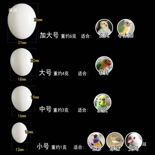 10�����]�ٵ��B��W�^�ٌ��ĵ��������BƤƤĵ�����P������
