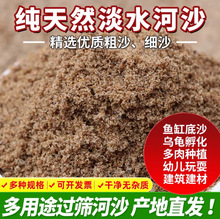 批发天然河沙粗沙细沙建筑建材养花种草鱼缸底沙黄沙沙石营养土