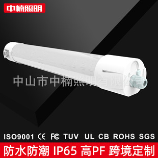 Led Plastic-Coated Aluminum Ip65 Factory Ship Cabin Ik08 Battery Charging Built-In Emergency Waterproof Integrated Moisture-Proof Round Tube Light