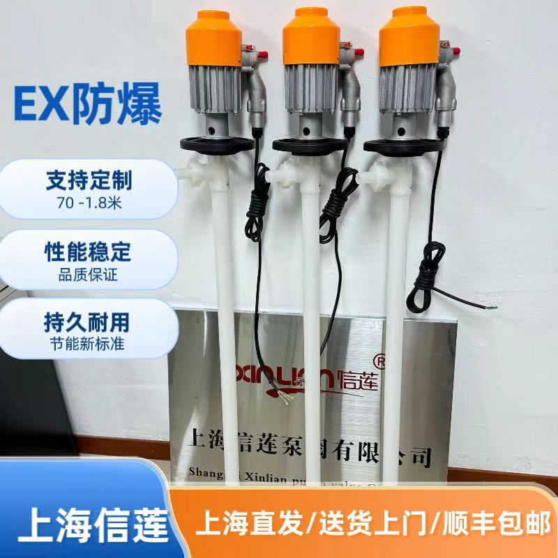 信莲HD-EX2-V+PVDF-1000HP盐酸泵/硝酸泵/防爆插桶泵/电动抽液泵