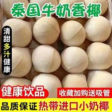 泰国进口奶椰小椰皇新鲜当季水果椰青椰汁香水椰子包邮新鲜椰子